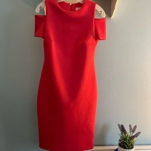 Appear Professional in a Quality Calvin Klein Dress